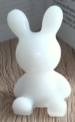 01 lapin blanc1