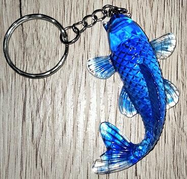 15 pc poisson transp bleu1